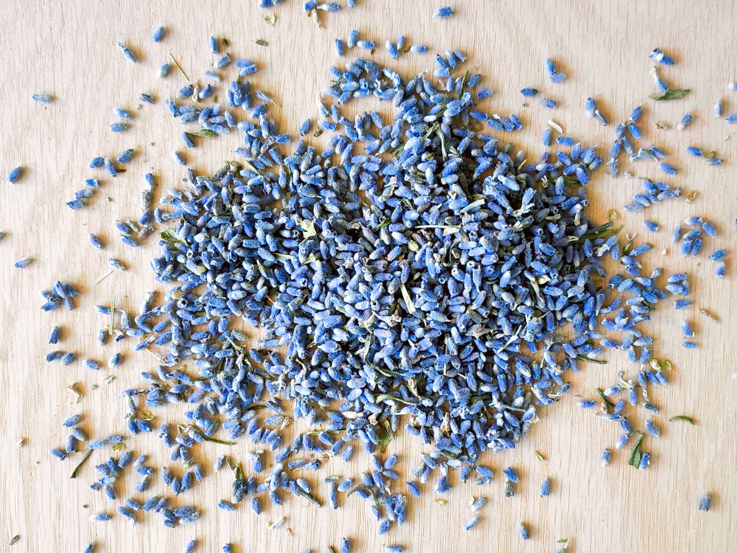 Lavender flowers