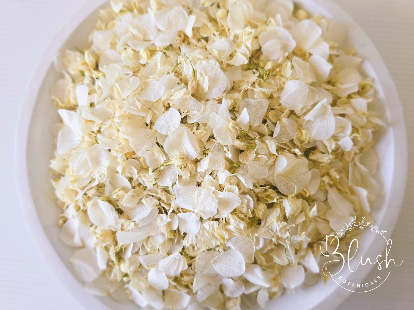 'IVORY ELEGANCE' Hydrangea Confetti Blend