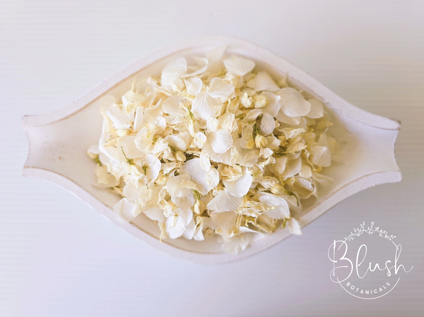 'IVORY ELEGANCE' Hydrangea Confetti Blend