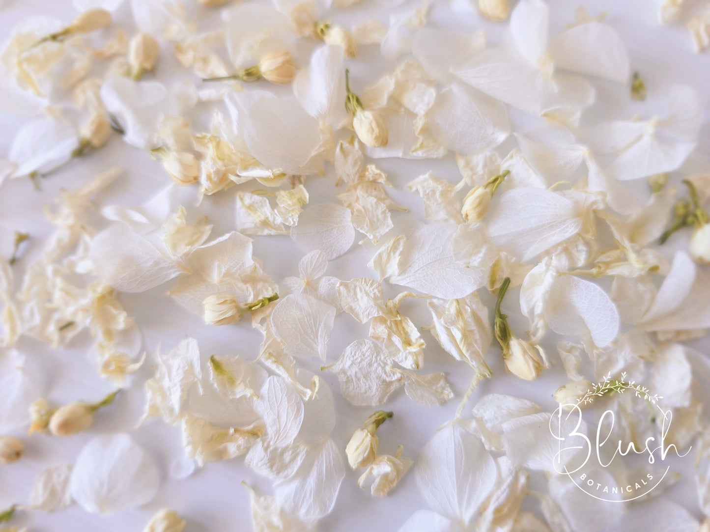 'IVORY ELEGANCE' Hydrangea Confetti Blend