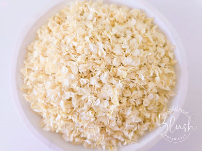 'CLASSIC CREAM' Confetti Blend