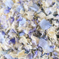 'BLUEBELL' Confetti Blend