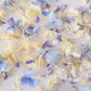 'BLUEBELL' Confetti Blend