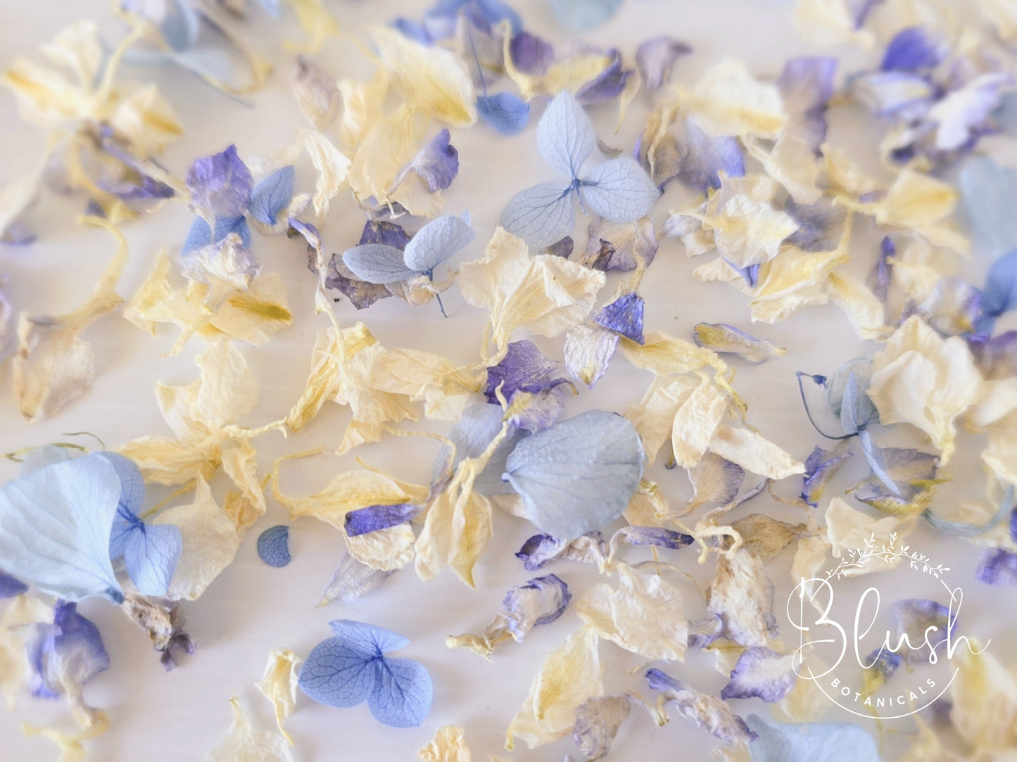 'BLUEBELL' Confetti Blend