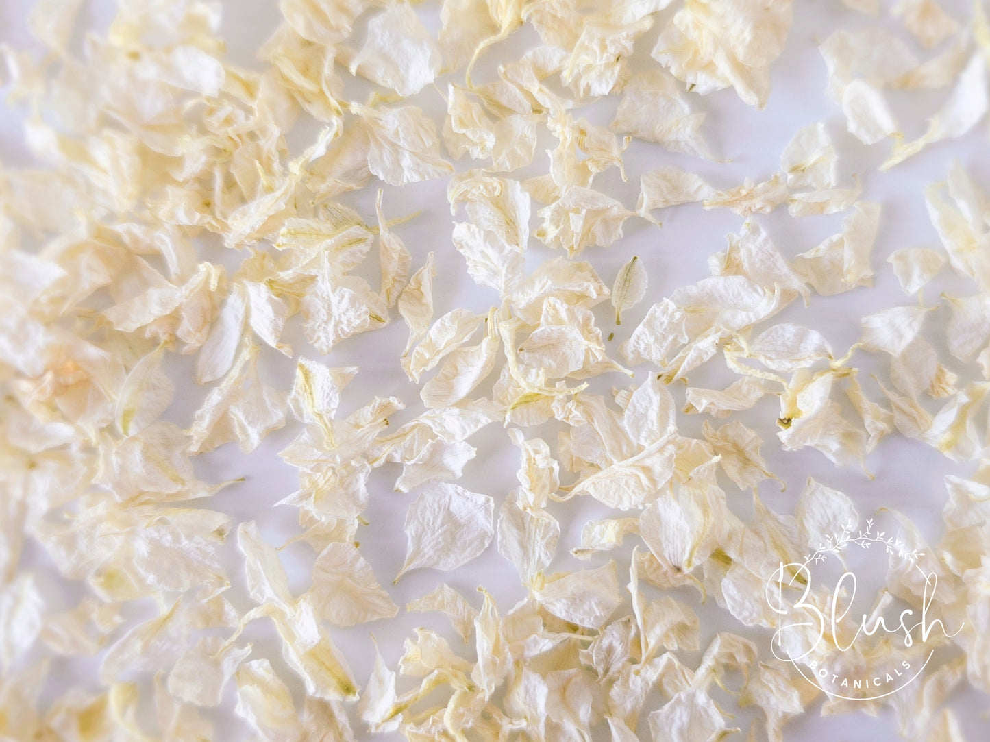 'CLASSIC CREAM' Confetti Blend