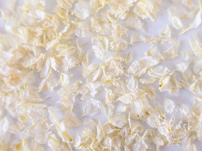 'CLASSIC CREAM' Confetti Blend