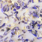 'AMETHYST AFFAIR' Confetti Blend