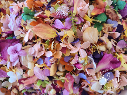 'WILDFLOWER' Hydrangea Confetti Blend