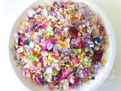 'WILDFLOWER' Hydrangea Confetti Blend