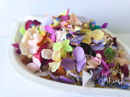 'WILDFLOWER' Hydrangea Confetti Blend