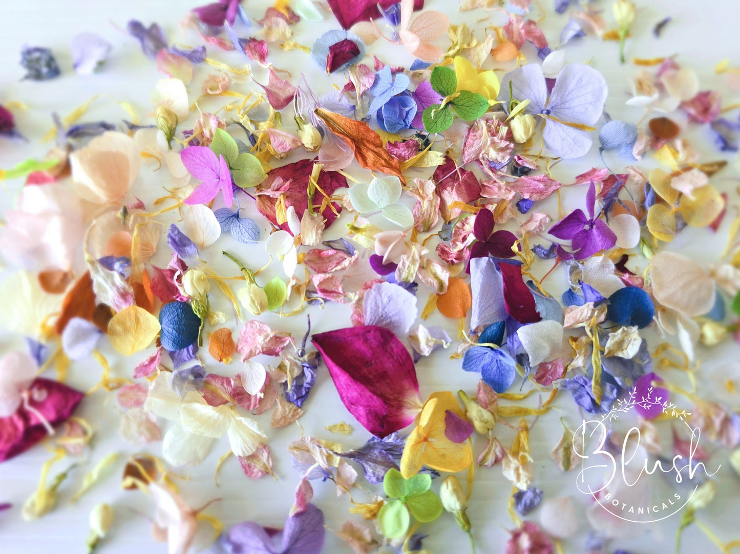 'WILDFLOWER' Hydrangea Confetti Blend