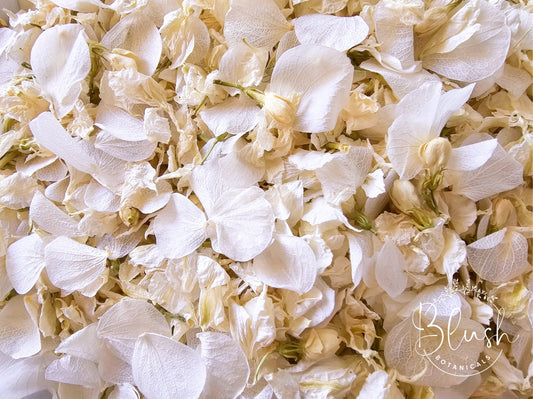 'IVORY ELEGANCE' Hydrangea Confetti Blend