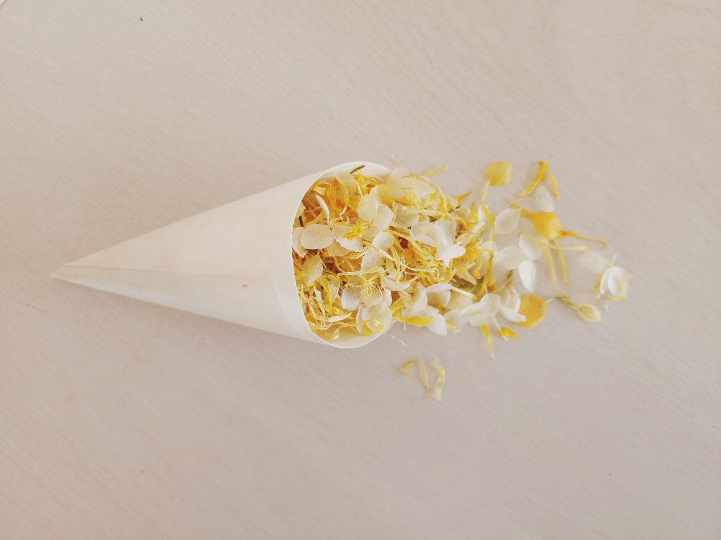 Bamboo Confetti Cones