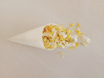 Bamboo Confetti Cones
