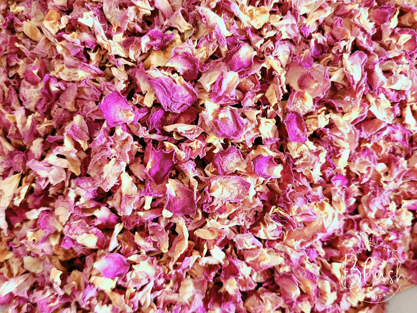 Pink Rose Petals