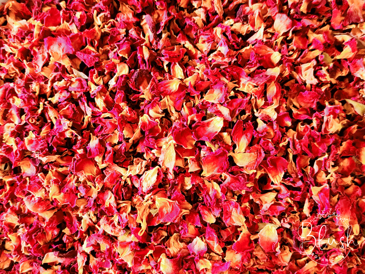 Red Rose Petals