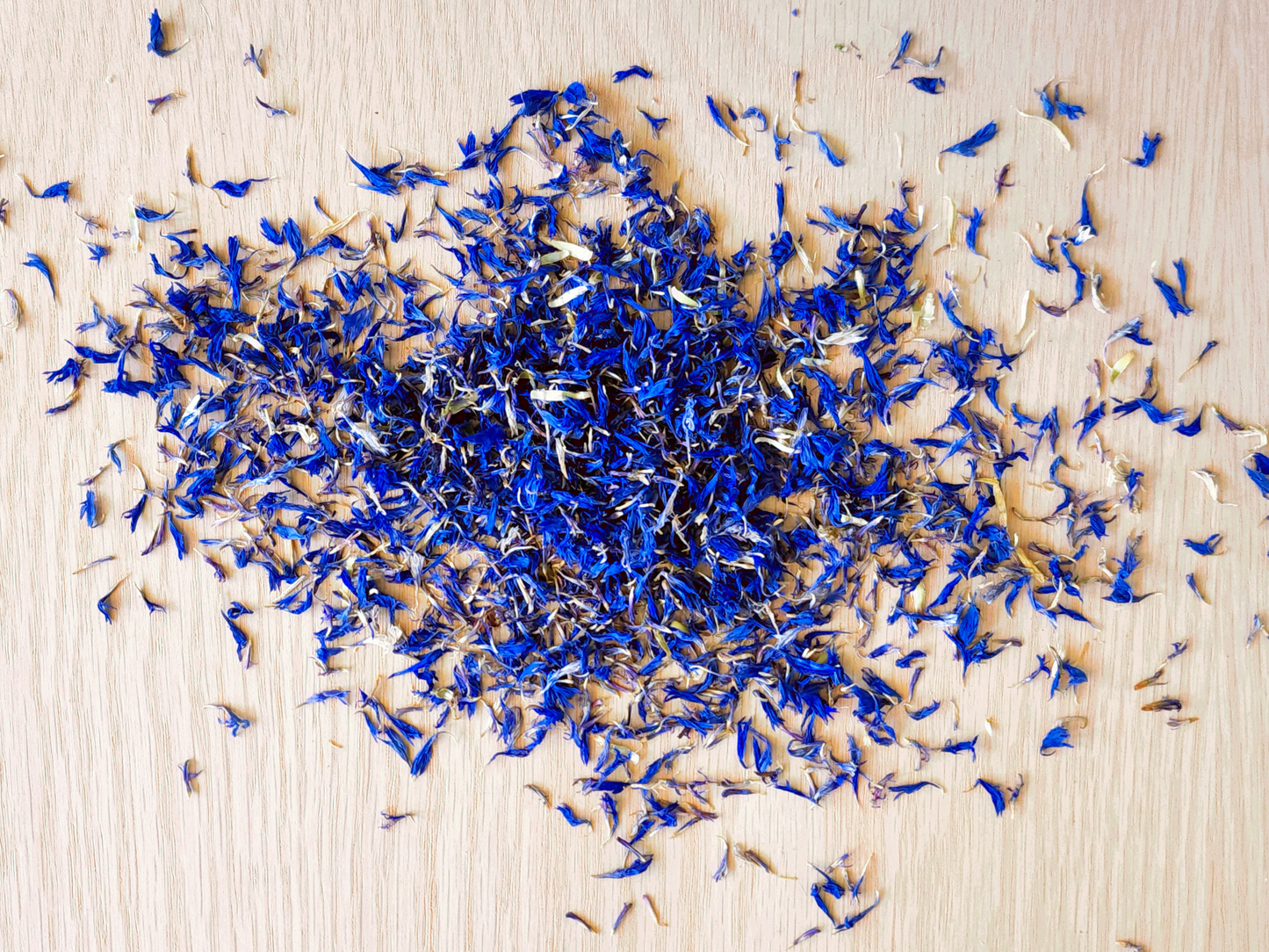 Blue Cornflower Petals