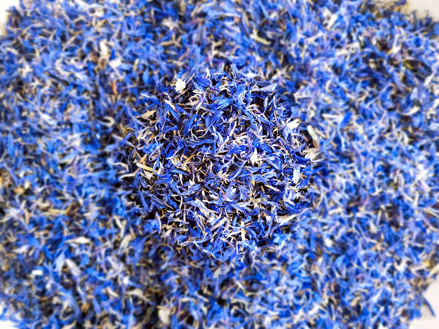 Blue Cornflower Petals