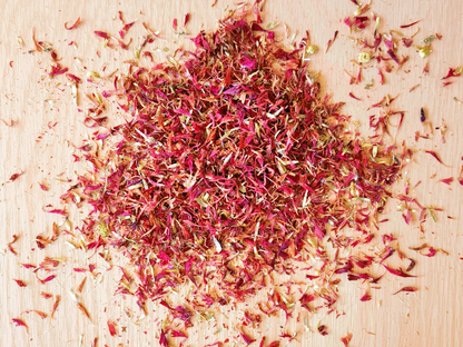Pink Cornflower Petals