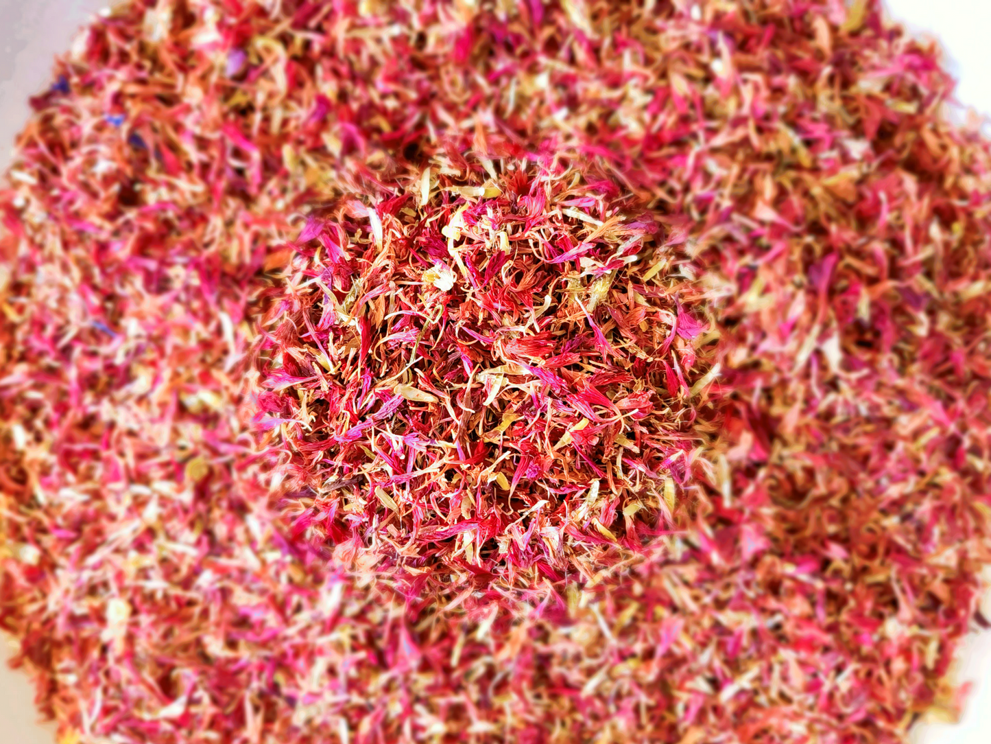 Pink Cornflower Petals