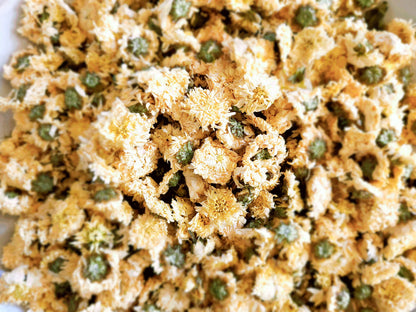 Chrysanthemum Flowers