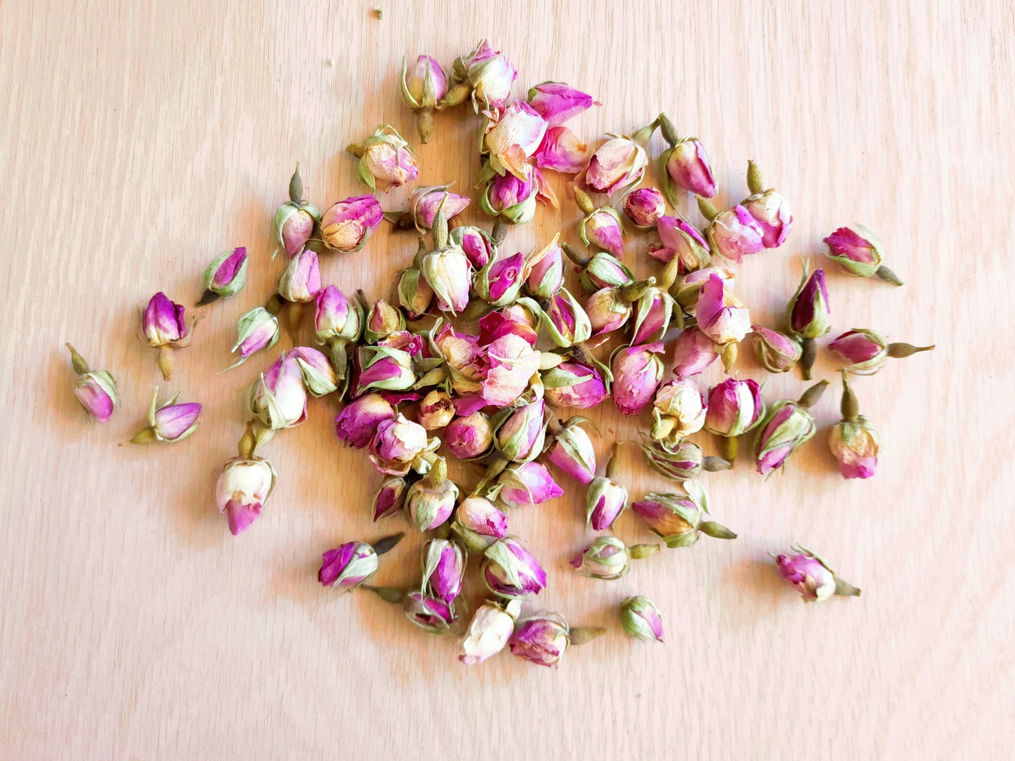 Pink Rose Buds